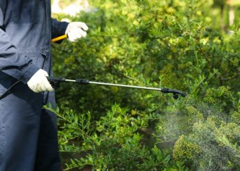 Pest Tips for Outdoor Spaces