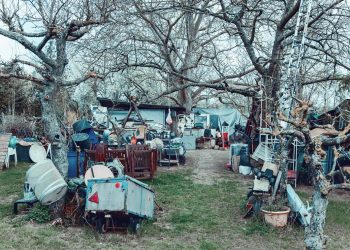 5 Facts About Hoarding in Houses Agents Should Know