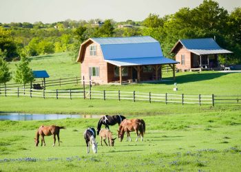 Cornerstone Brokerage Joins Ebby Halliday Companies