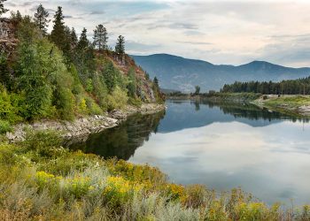 ERA® Real Estate Enters North Idaho With the Affiliation of ERA Shelman Realty