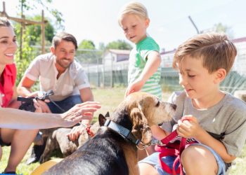 How to Help Your Kids Prepare for a New Pet