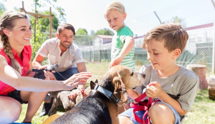 How to Help Your Kids Prepare for a New Pet