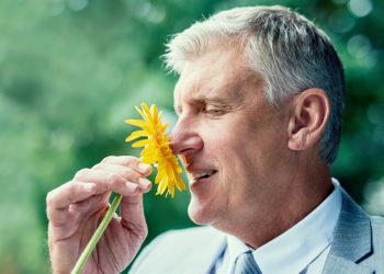 At-Home Allergy Remedies for Ultimate Relief