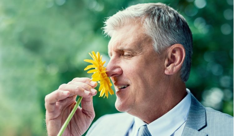 At-Home Allergy Remedies for Ultimate Relief