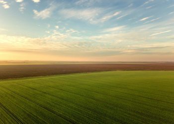 How Big Is an Acre? You Might Be Surprised!