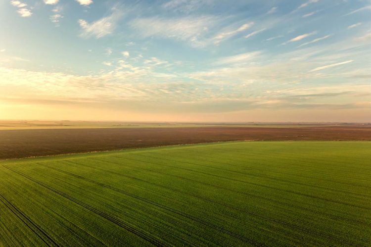 How Big Is an Acre? You Might Be Surprised!