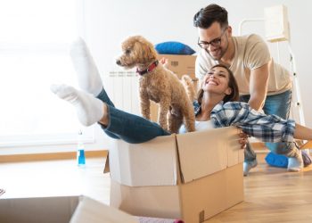 Tips for Moving With Pets