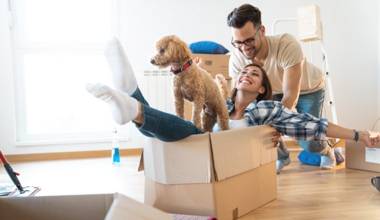 Tips for Moving With Pets