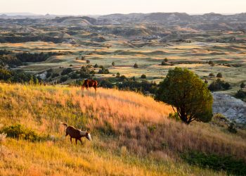 Weichert, Realtors® – Providence Properties Opens Brokerage In Watford City