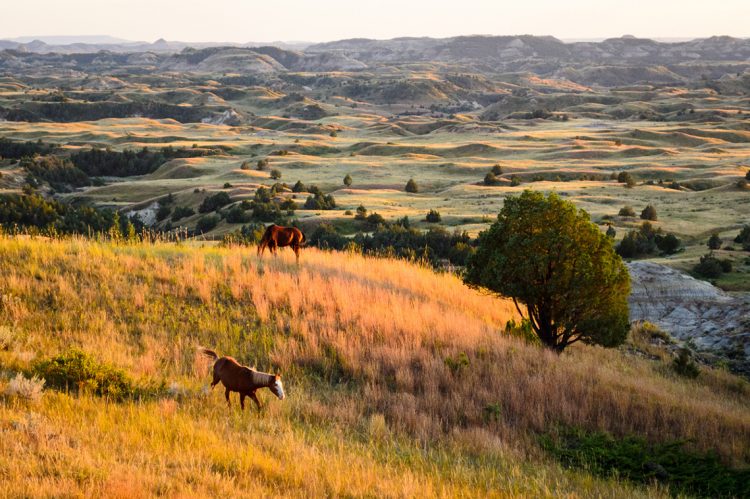 Weichert, Realtors® – Providence Properties Opens Brokerage In Watford City