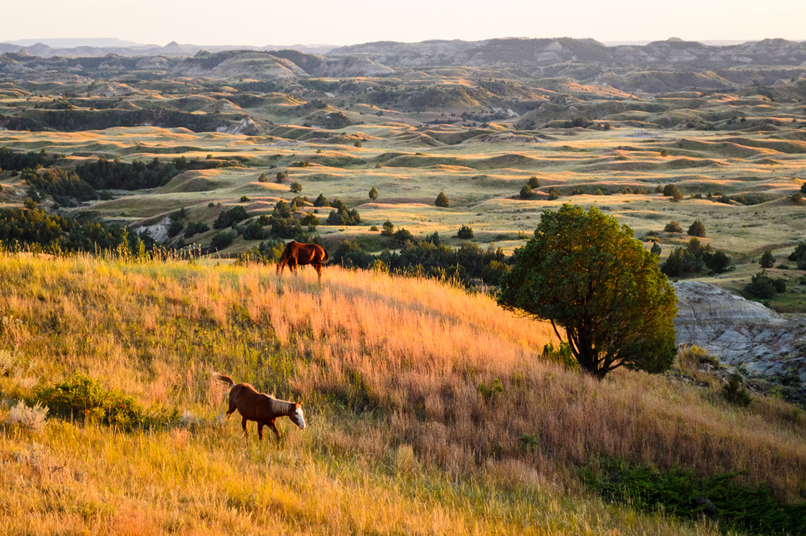 Weichert, Realtors® Providence Properties Opens Brokerage In Watford