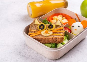 How to Choose a Bento Box for School Lunches