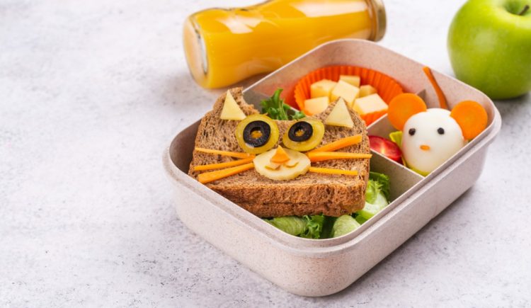 How to Choose a Bento Box for School Lunches