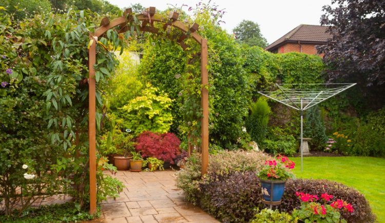 Ways to Improve Your Yard Without Planting