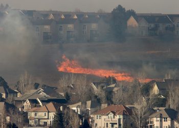 Four Western States and Florida Are at Most Risk for Wildfire Damages in 2022