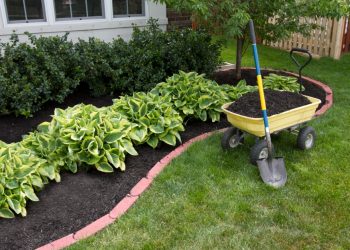 5 Ways to Upgrade Your Outdoor Space