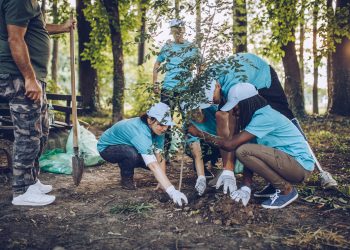NAR Launches Tree-Planting Initiative in Partnership with National Forest Foundation