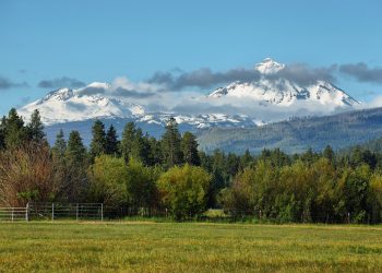 Private Estate Sale in Sisters, Oregon Sets 15-Year County High