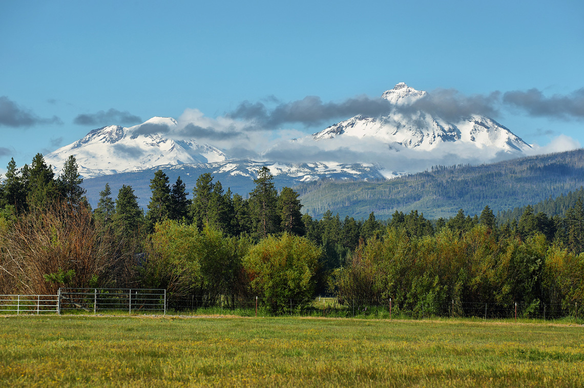 Private Estate Sale in Sisters, Oregon Sets 15-Year County High - Vimarsana News