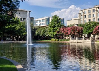 Most Family-Friendly Cities for Parents and Kids