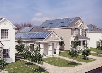 Going Green: Promoting a World That Is More Resilient and Environmentally Friendly