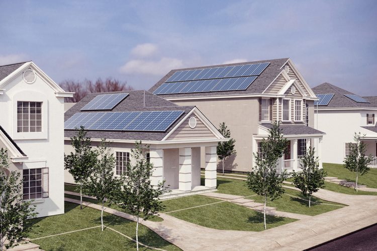 Going Green: Promoting a World That Is More Resilient and Environmentally Friendly