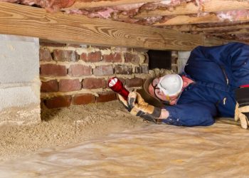 Why You Should Have Your Crawlspace Inspected by a Professional