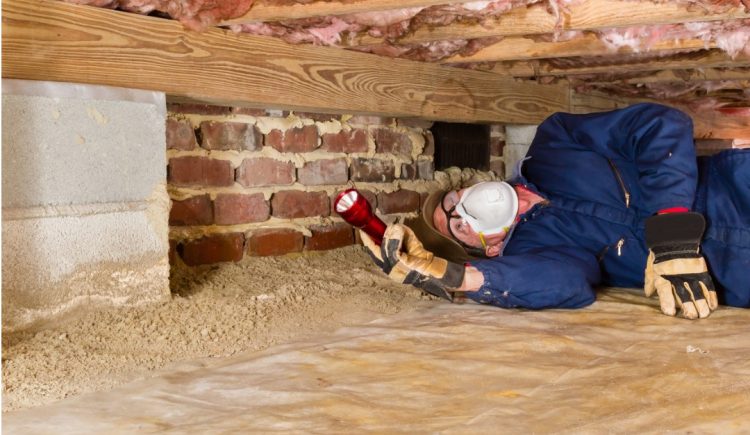 Why You Should Have Your Crawlspace Inspected by a Professional