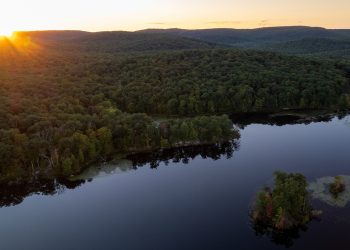 Regional Spotlight: Upsides to Upstate New York Markets