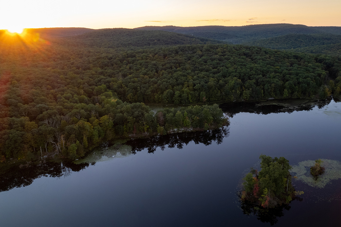Regional Spotlight: Upsides to Upstate New York Markets - Vimarsana News