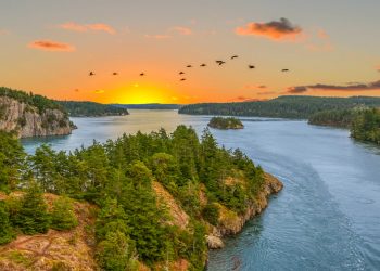 Washington Startup Brokerage Affiliates With Better Homes and Gardens Real Estate