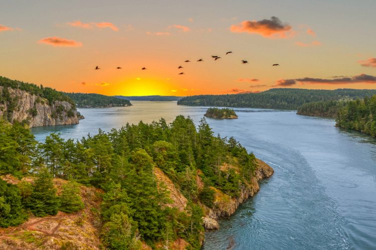 Washington Startup Brokerage Affiliates With Better Homes and Gardens Real Estate