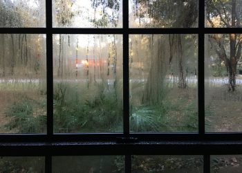 Controlling Indoor Humidity: Why and How?