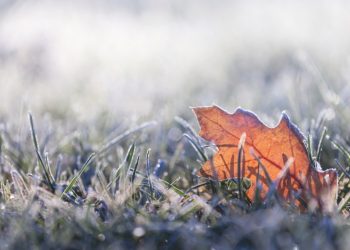 How to Prepare Your Home for Fall’s Cooler Temperatures