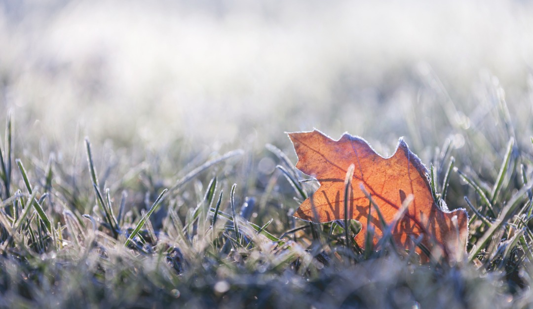 How to Prepare Your Home for Fall's Cooler Temperatures — RISMedia - Vimarsana News
