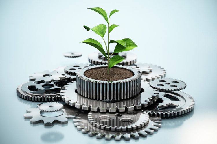 Growing Your Team in a Changing Market