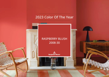 The 2023 Color of the Year, and How to Use It