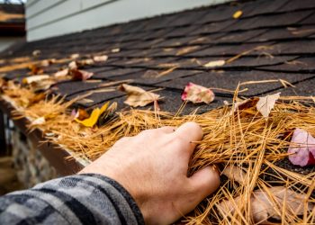 The Autumn Bucket List for Homeowners