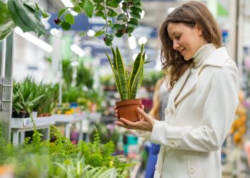 5 Small Purchases That Can Lift Your Spirits