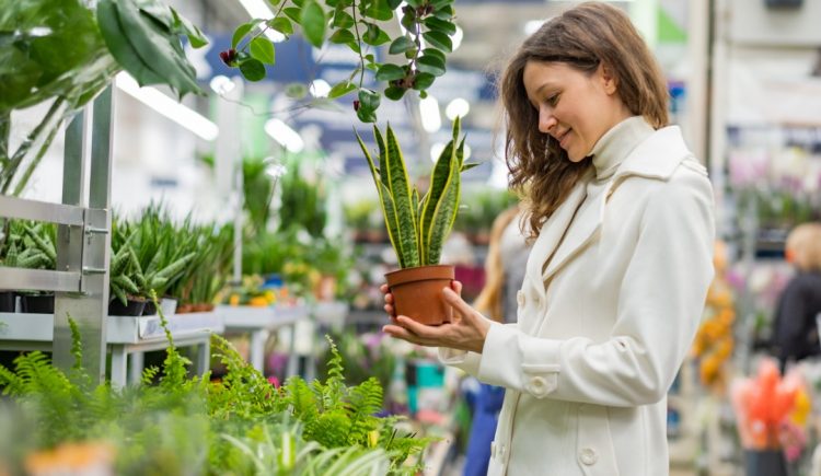 5 Small Purchases That Can Lift Your Spirits