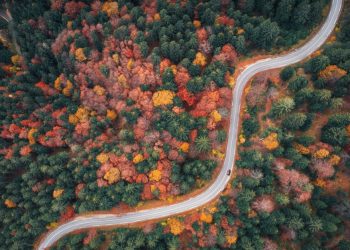 5 Reasons Why You Should Travel in the Fall