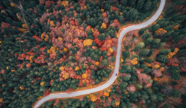 5 Reasons Why You Should Travel in the Fall