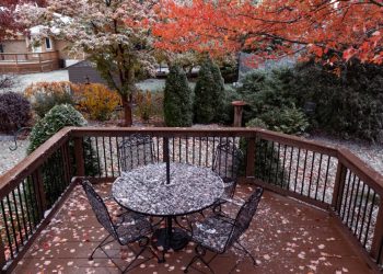 5 Fall Landscape Mistakes You Should Avoid