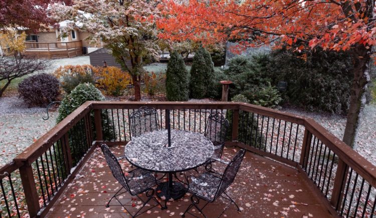5 Fall Landscape Mistakes You Should Avoid