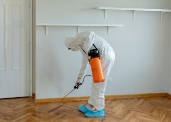 Top Mold Prevention Tips for Your Home