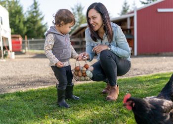 Should You Consider Raising Backyard Chickens?