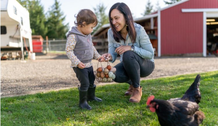Should You Consider Raising Backyard Chickens?