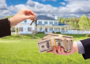 zavvie Data Says ‘Cash Is Still King’ in 2023