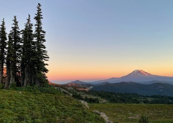 Northwest MLS Reports Uptick in Washington State Market