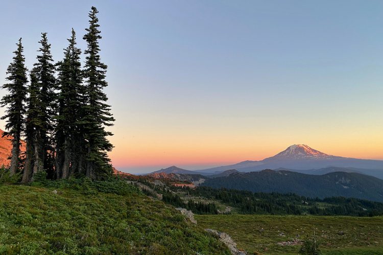 Northwest MLS Reports Uptick in Washington State Market